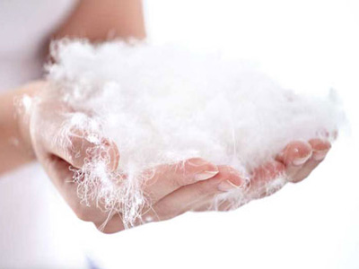 puh-pero.jpg puh-pero.jpg